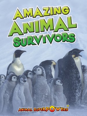 cover image of Amazing Animal Survivors